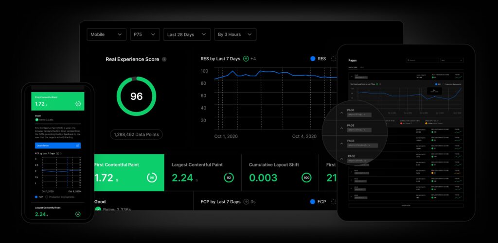 WordPress Performance Optimierung mit PageSpeed und Core Web Vitals Analyse